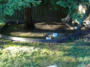 Both water and dry food are offered.